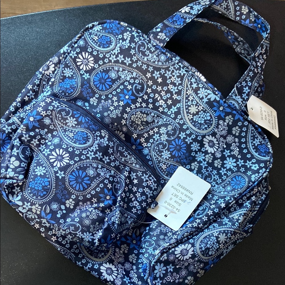 Blue Paisley Bags (2)